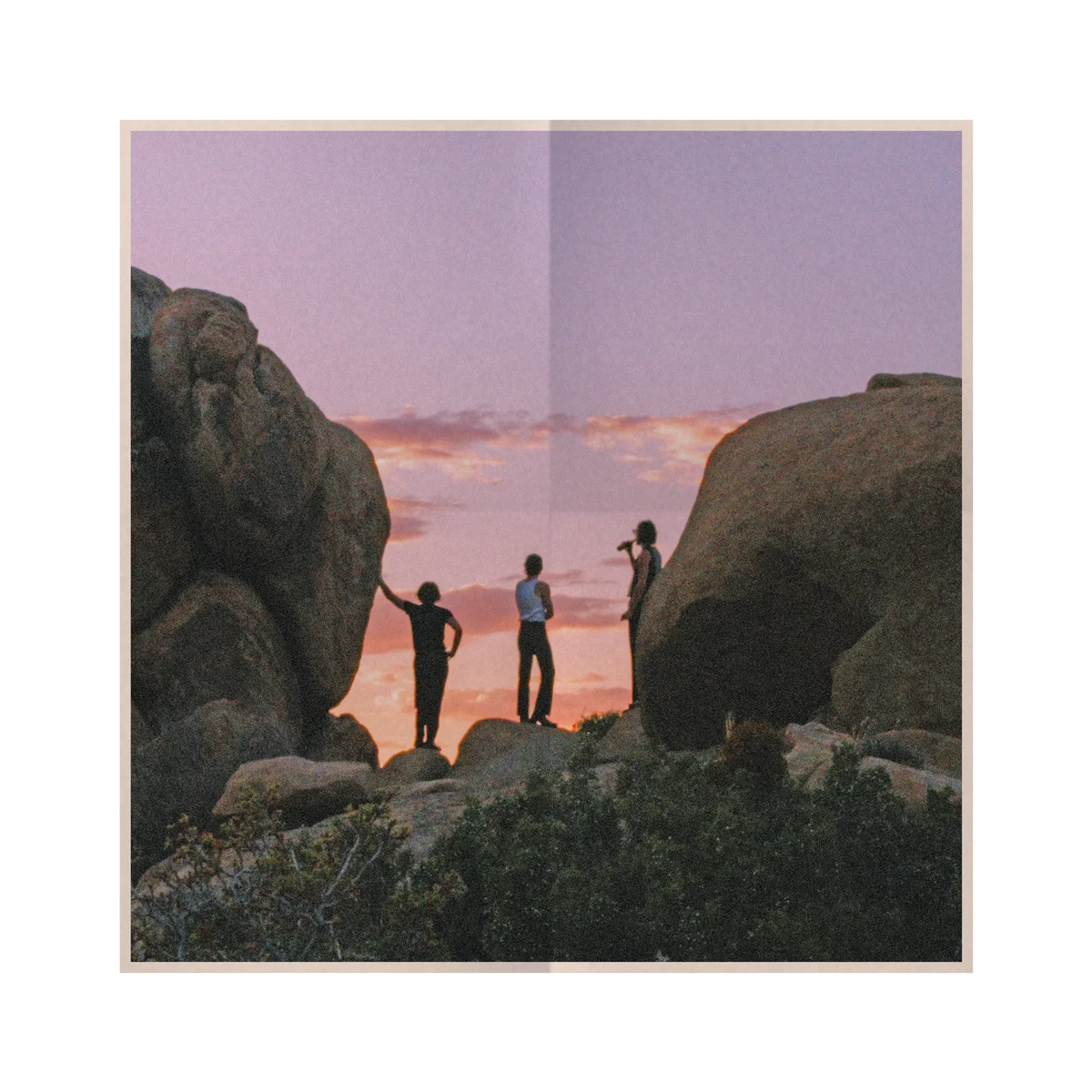 The Grown-Ups Are Talking - Deluxe Tortoiseshell Vinyl + Signed Poster