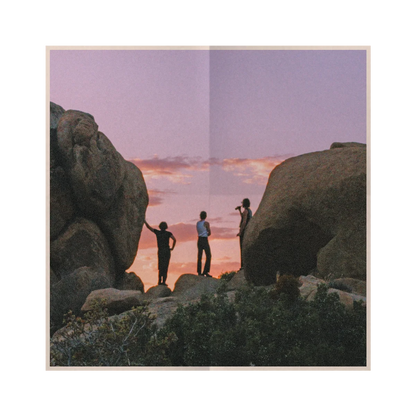 The Grown-Ups Are Talking - Deluxe Tortoiseshell Vinyl + Signed Poster